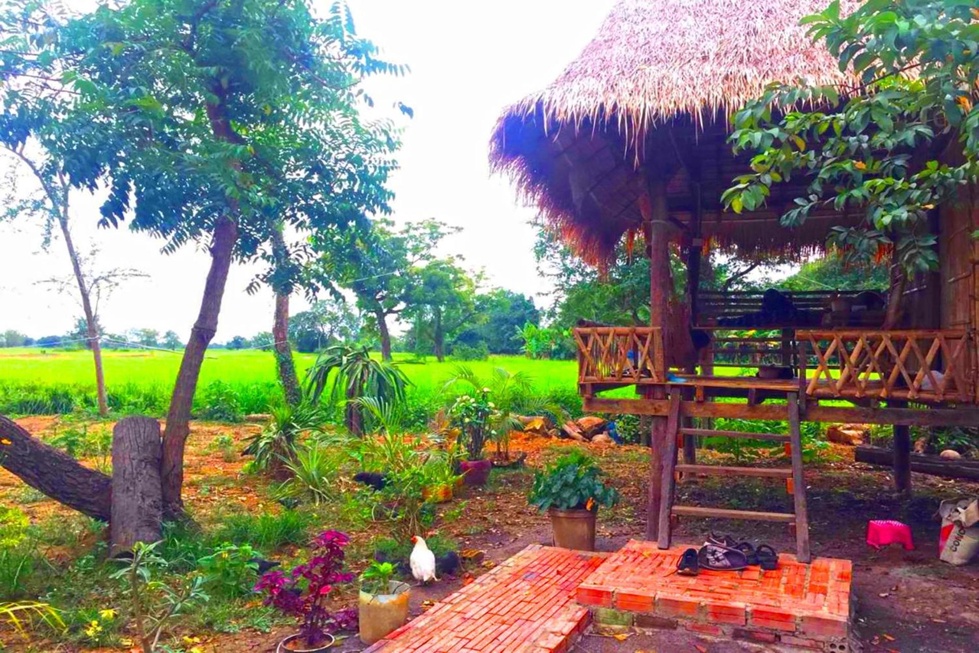 Family Batcave Homestay Battambang Dış mekan fotoğraf