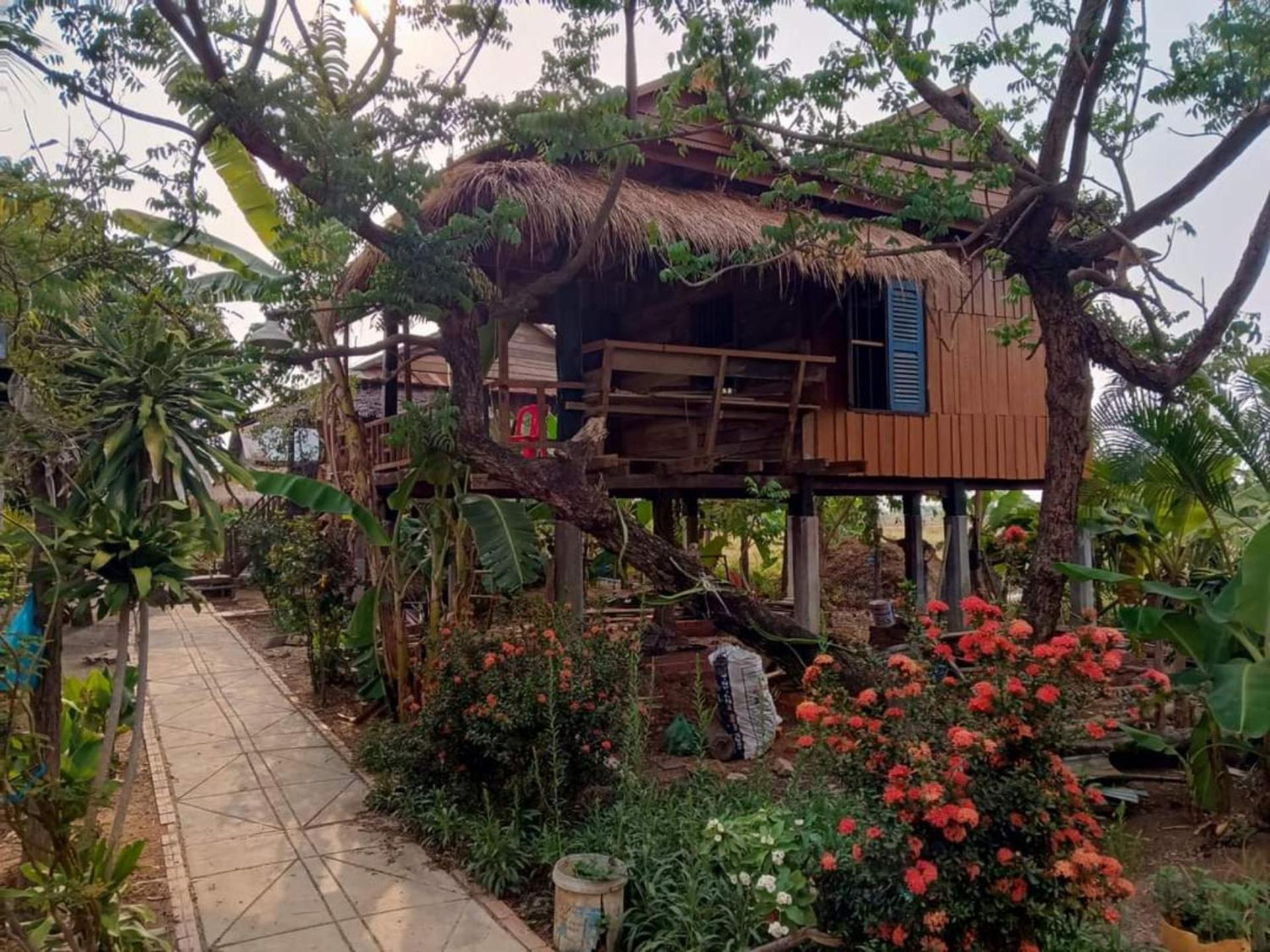 Family Batcave Homestay Battambang Dış mekan fotoğraf